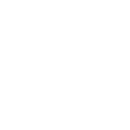 Tudor Management Group